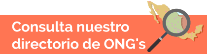Acceso: Consulta nuestro directorio de ONG´s