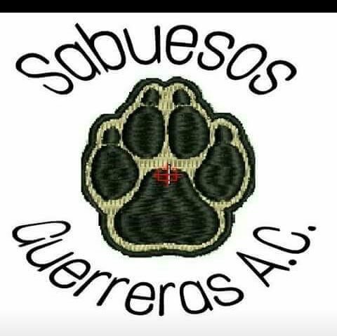 Sabuesos Guerreras A.C. Movimiento por nuestros desaparecidos en México
